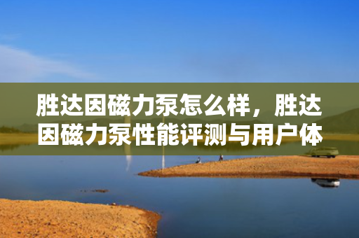 胜达因磁力泵怎么样，胜达因磁力泵性能评测与用户体验