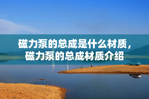 磁力泵的总成是什么材质，磁力泵的总成材质介绍