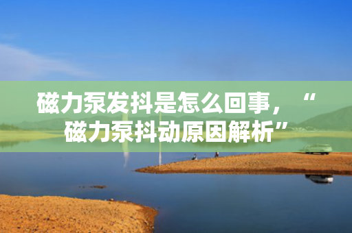 磁力泵发抖是怎么回事，“磁力泵抖动原因解析”