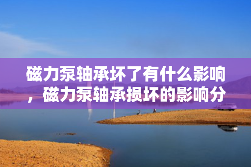 磁力泵轴承坏了有什么影响，磁力泵轴承损坏的影响分析