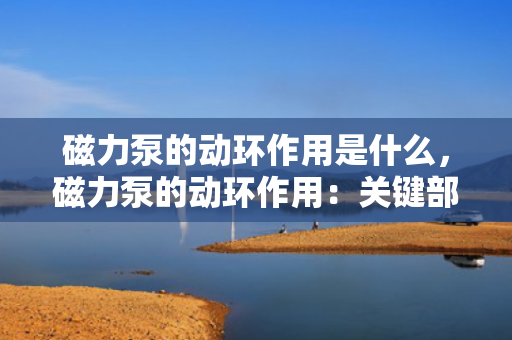 磁力泵的动环作用是什么，磁力泵的动环作用：关键部件确保无泄漏传输与高效运行
