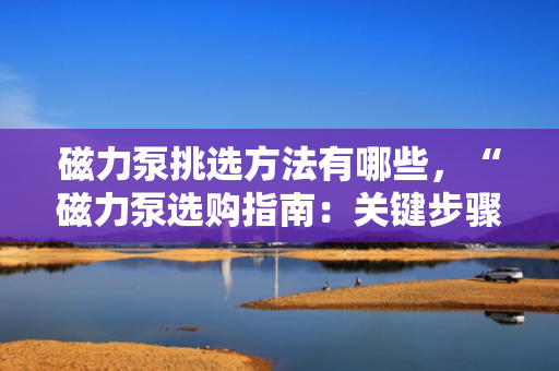 磁力泵挑选方法有哪些，“磁力泵选购指南：关键步骤与技巧一网打尽”