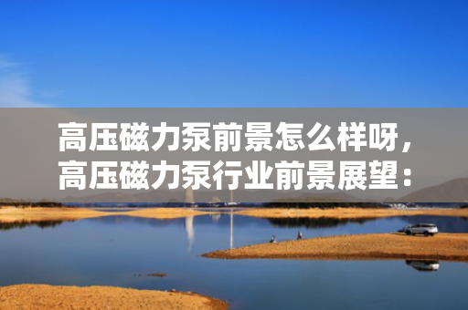 高压磁力泵前景怎么样呀，高压磁力泵行业前景展望：市场潜力与发展趋势