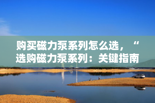 购买磁力泵系列怎么选，“选购磁力泵系列：关键指南与实用建议”