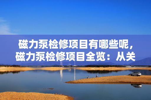 磁力泵检修项目有哪些呢，磁力泵检修项目全览：从关键部件到日常维护的细致指南