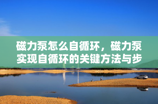 磁力泵怎么自循环，磁力泵实现自循环的关键方法与步骤解析