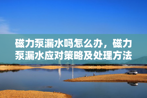 磁力泵漏水吗怎么办，磁力泵漏水应对策略及处理方法