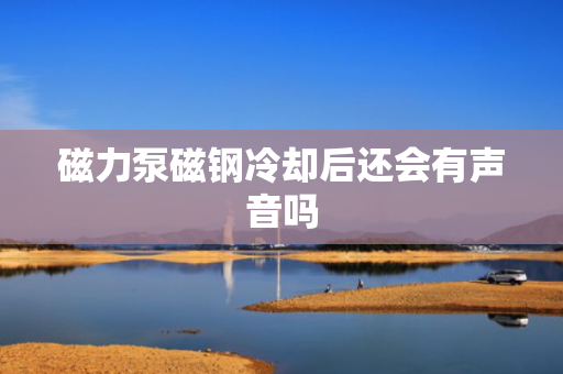 磁力泵磁钢冷却后还会有声音吗
