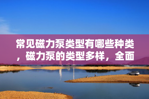 常见磁力泵类型有哪些种类，磁力泵的类型多样，全面解析常见种类