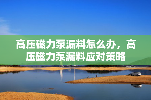高压磁力泵漏料怎么办，高压磁力泵漏料应对策略