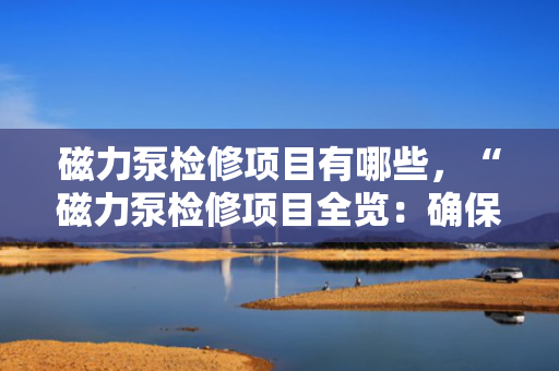 磁力泵检修项目有哪些，“磁力泵检修项目全览：确保设备高效稳定运行的关键步骤”