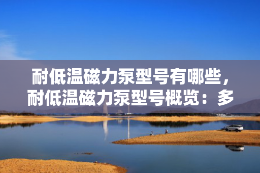 耐低温磁力泵型号有哪些，耐低温磁力泵型号概览：多种选择满足低温环境需求