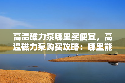 高温磁力泵哪里买便宜，高温磁力泵购买攻略：哪里能找到价格实惠的优质产品？