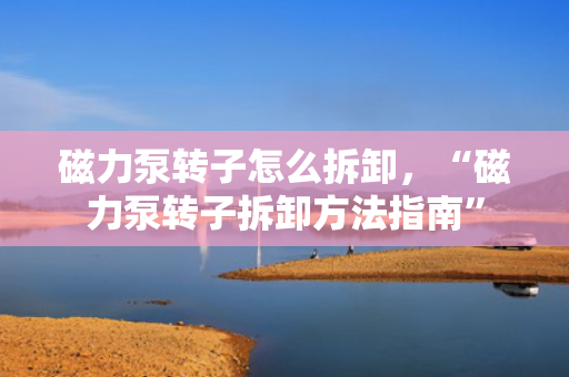磁力泵转子怎么拆卸，“磁力泵转子拆卸方法指南”