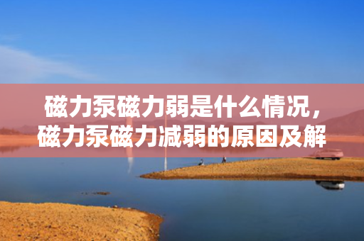 磁力泵磁力弱是什么情况，磁力泵磁力减弱的原因及解决方法探讨