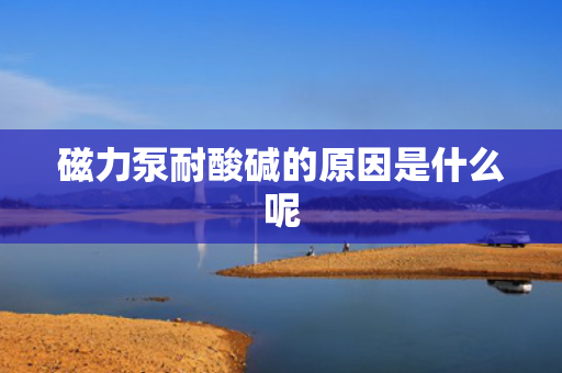 磁力泵耐酸碱的原因是什么呢