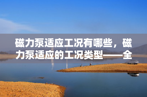 磁力泵适应工况有哪些，磁力泵适应的工况类型——全面解析其应用场景与优势
