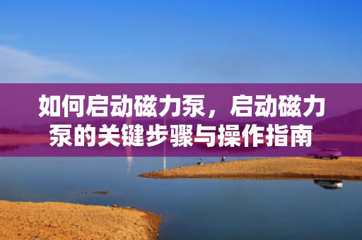 如何启动磁力泵，启动磁力泵的关键步骤与操作指南