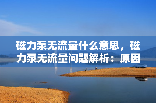 磁力泵无流量什么意思，磁力泵无流量问题解析：原因及解决方案探讨