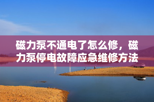 磁力泵不通电了怎么修，磁力泵停电故障应急维修方法