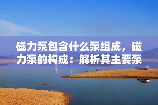 磁力泵包含什么泵组成，磁力泵的构成：解析其主要泵类组件