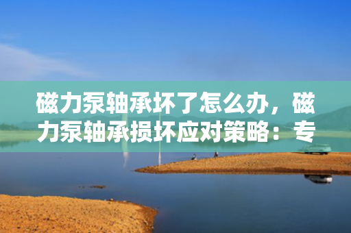 磁力泵轴承坏了怎么办，磁力泵轴承损坏应对策略：专业维修与更换指南