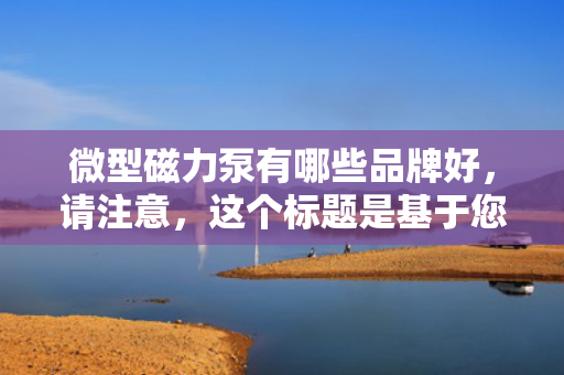 微型磁力泵有哪些品牌好，请注意，这个标题是基于您提供的内容生成的，但在实际情况下，选择磁力泵品牌时，还需要根据具体的应用需求、预算、品牌声誉等多个因素进行综合考虑。