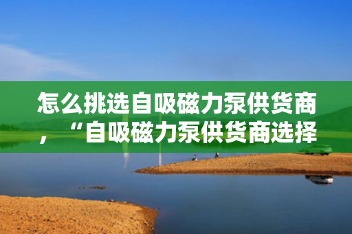怎么挑选自吸磁力泵供货商，“自吸磁力泵供货商选择指南：关键步骤与考量因素”