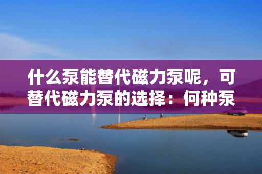 什么泵能替代磁力泵呢，可替代磁力泵的选择：何种泵能够胜任磁力泵的角色？