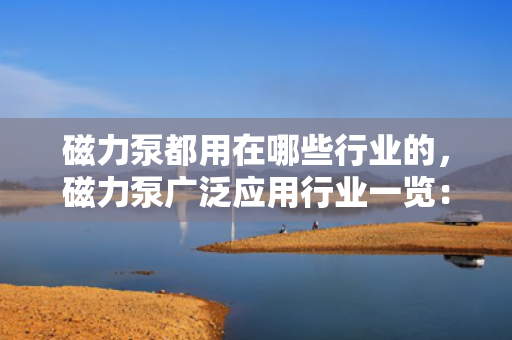 磁力泵都用在哪些行业的，磁力泵广泛应用行业一览：涵盖化工、制药、石油等多个领域