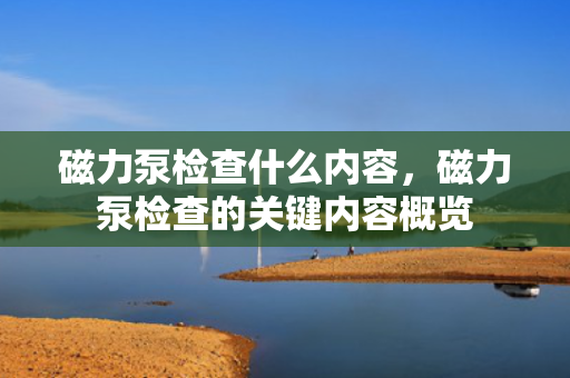 磁力泵检查什么内容，磁力泵检查的关键内容概览