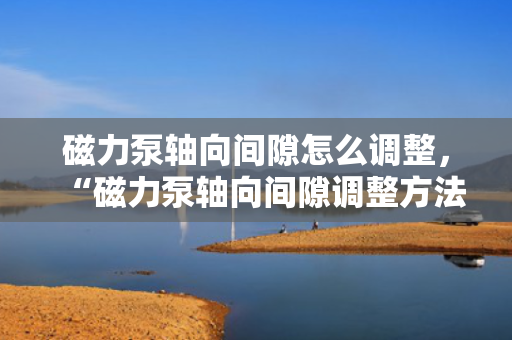 磁力泵轴向间隙怎么调整，“磁力泵轴向间隙调整方法简述”