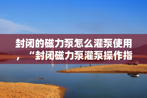 封闭的磁力泵怎么灌泵使用，“封闭磁力泵灌泵操作指南：安全、高效的使用技巧”
