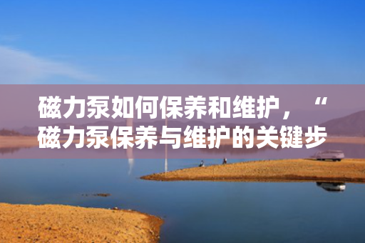 磁力泵如何保养和维护，“磁力泵保养与维护的关键步骤和策略”
