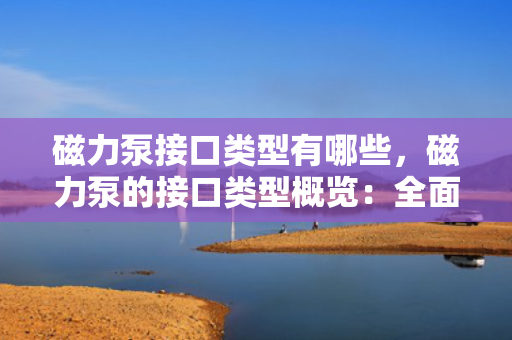 磁力泵接口类型有哪些，磁力泵的接口类型概览：全面了解各种连接选项