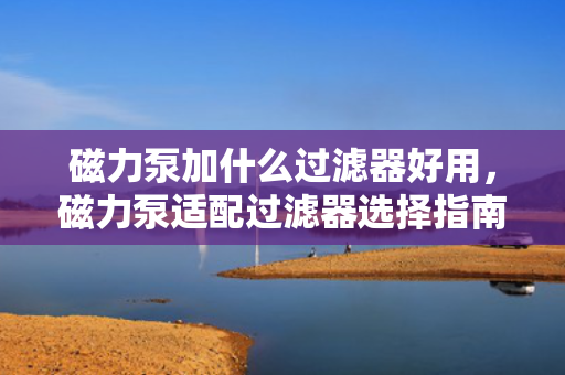 磁力泵加什么过滤器好用，磁力泵适配过滤器选择指南：高效、适用才是硬道理