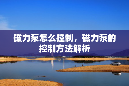 磁力泵怎么控制，磁力泵的控制方法解析
