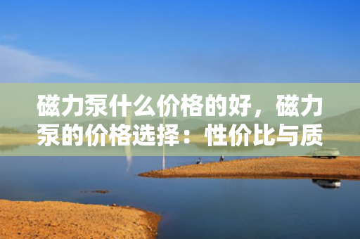 磁力泵什么价格的好，磁力泵的价格选择：性价比与质量的完美平衡