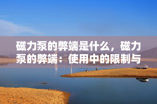 磁力泵的弊端是什么，磁力泵的弊端：使用中的限制与潜在问题
