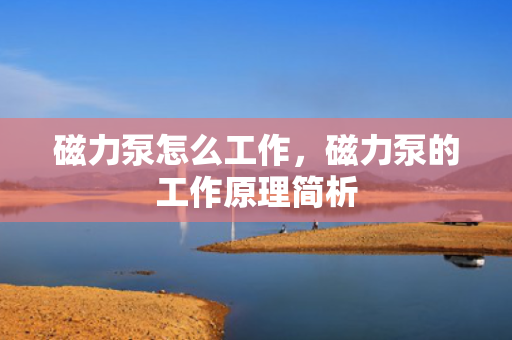 磁力泵怎么工作，磁力泵的工作原理简析