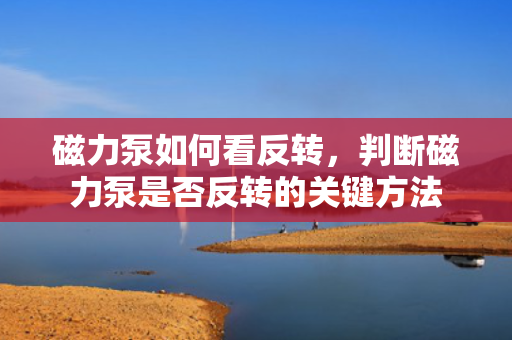 磁力泵如何看反转，判断磁力泵是否反转的关键方法