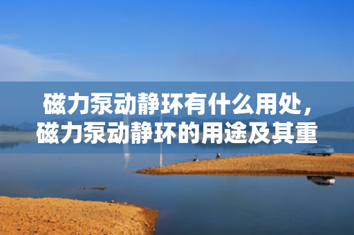 磁力泵动静环有什么用处，磁力泵动静环的用途及其重要作用解析