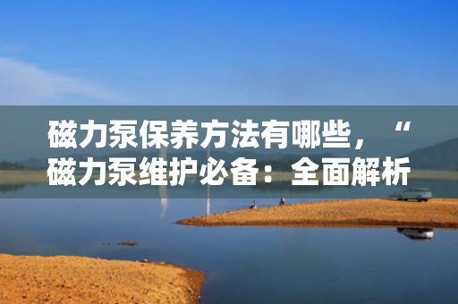 磁力泵保养方法有哪些，“磁力泵维护必备：全面解析保养方法与技巧”
