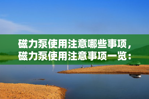 磁力泵使用注意哪些事项，磁力泵使用注意事项一览：保障安全与效率的关键要点