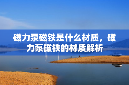 磁力泵磁铁是什么材质，磁力泵磁铁的材质解析