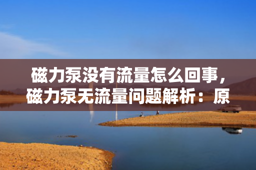 磁力泵没有流量怎么回事，磁力泵无流量问题解析：原因及解决方案探讨