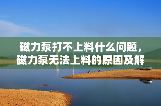 磁力泵打不上料什么问题，磁力泵无法上料的原因及解决方案
