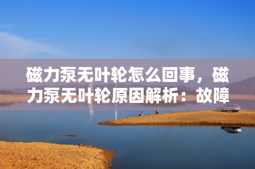 磁力泵无叶轮怎么回事，磁力泵无叶轮原因解析：故障排查与解决方案