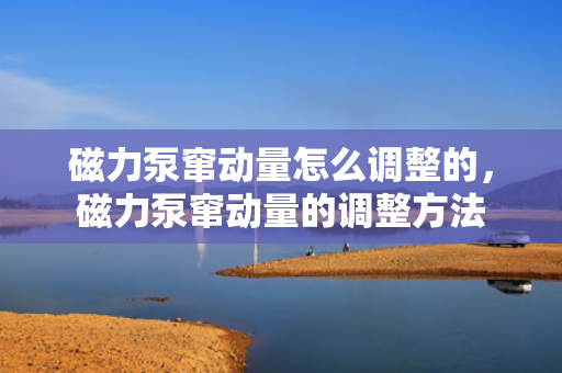 磁力泵窜动量怎么调整的，磁力泵窜动量的调整方法