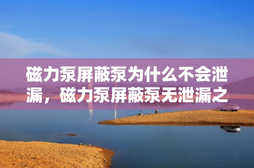 磁力泵屏蔽泵为什么不会泄漏，磁力泵屏蔽泵无泄漏之谜：独特设计与工作原理确保安全密封